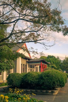 国际视野：关键五年开新局 承前启后谋新篇