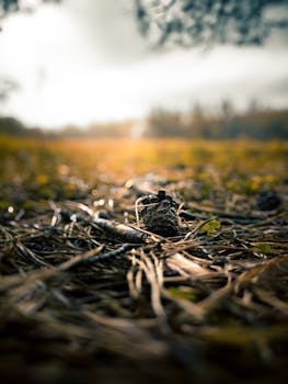 景气度持续上行 半导体市场多个细分领域迎涨价 新闻