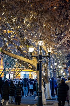 垃圾焚烧产业出海提速 上市公司接连中标海外项目 新闻