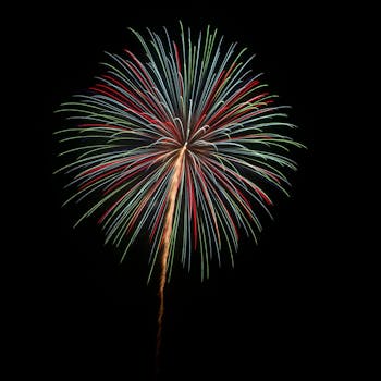 马年首批可转债开启发行 再融资新规或推动市场持续扩容