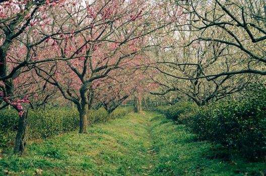 315热度延续之际；黄金饰品消费需注意信息透明；智能工具助力提前识别潜在问题。