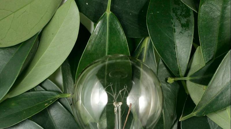  绿色转型不是选择题，而是关乎企业生死的必答题 新闻