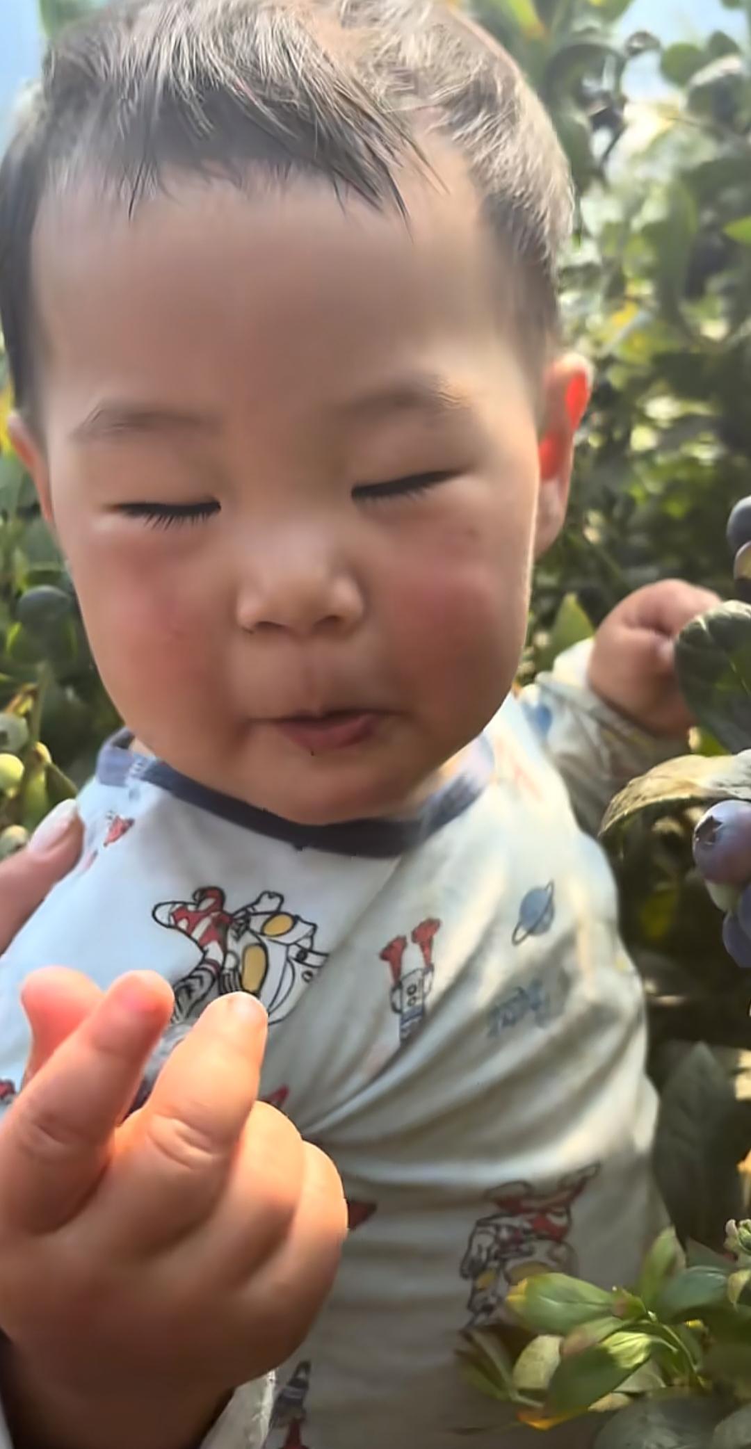  亲子教育中的认知盲区：从“树上摘蓝莓”看家长判断力的系统性偏差 教育招生