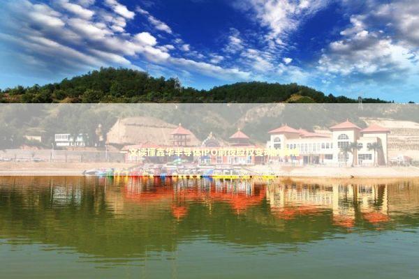 一文读懂鑫华半导体IPO前夜股权变动的真相 新闻