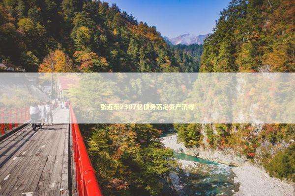 张近东2387亿债务落定资产清零 新闻