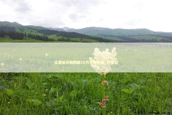 比亚迪月销跌破20万零跑逆袭_抒情型