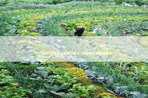 2026年1月金融市场运行情况-1月金融数据趣味解读 新闻