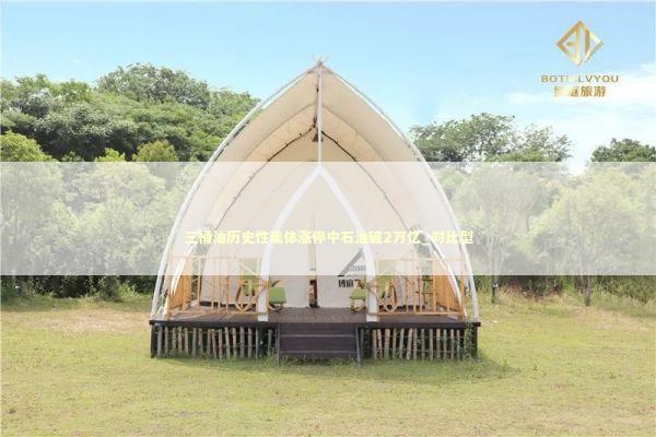 三桶油历史性集体涨停中石油破2万亿_对比型