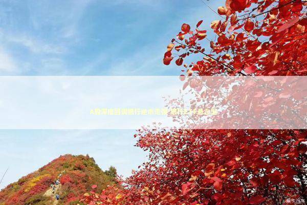 A股深度回调银行逆市走强-银行ETF悬念型