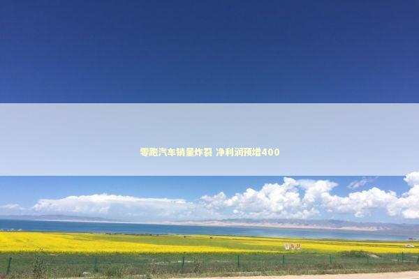 零跑汽车销量炸裂 净利润预增400 新闻