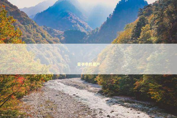 量子手机量产 新闻