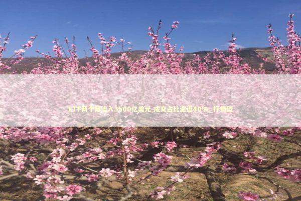 ETF两个月流入3500亿美元 成交占比逼近40%_抒情型 新闻