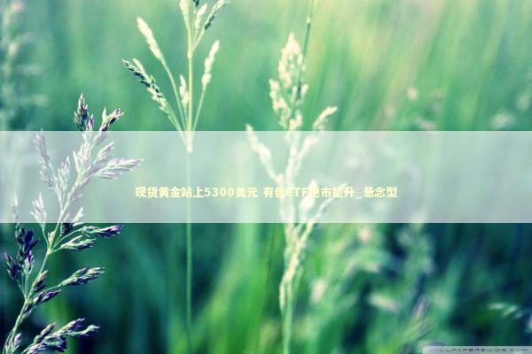 现货黄金站上5300美元 有色ETF逆市拉升_悬念型