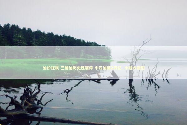 油价狂飙 三桶油历史性涨停 中石油破2万亿_小题大做型 油价狂飙 三桶油历史性涨停 中石油破2万亿_小题大做型 新闻