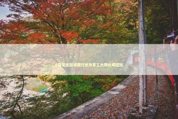 A股深度回调银行逆市军工大跌吃喝坚挺