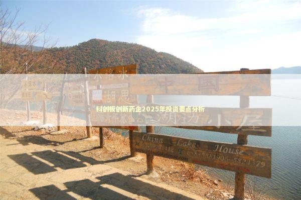 科创板创新药企2025年投资要点分析