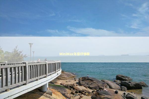 MiniMax年报抒情版