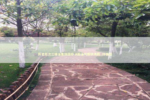 历史首次三桶油集体涨停 A股油气板块沸腾_抒情型