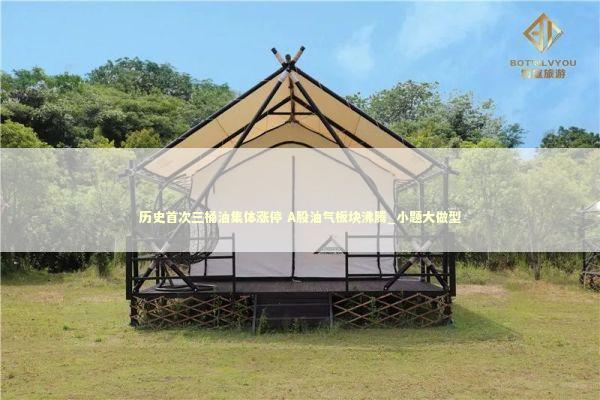 历史首次三桶油集体涨停 A股油气板块沸腾_小题大做型