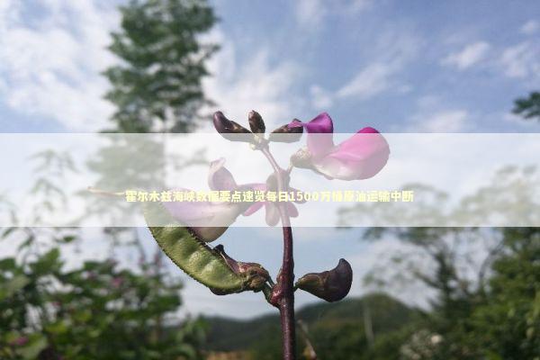 霍尔木兹海峡数据要点速览每日1500万桶原油运输中断