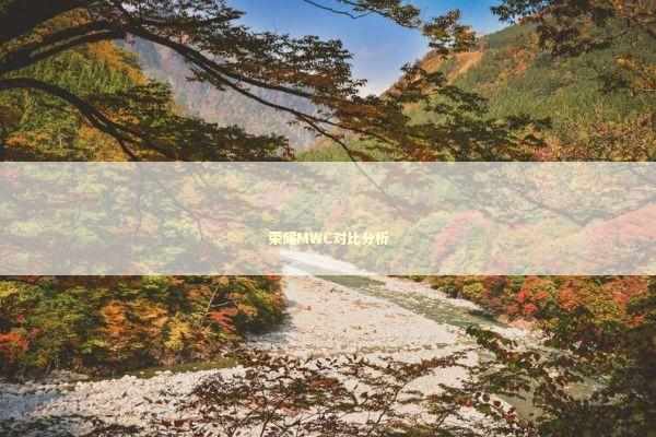 荣耀MWC对比分析 新闻