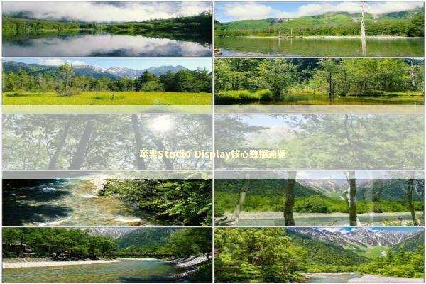 苹果Studio Display核心数据速览 新闻