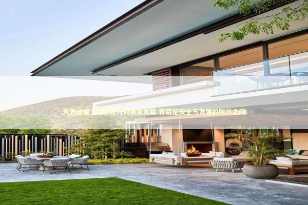 代表通道上的发言为何振聋发聩 背后是安全与发展的时代之问