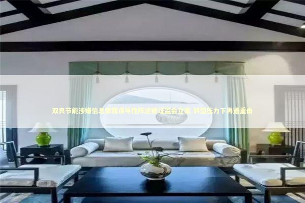 双良节能涉嫌信息披露误导性陈述被证监会立案 转型压力下再遭重击 新闻