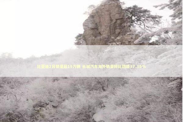 比亚迪2月销量超19万辆 长城汽车海外销量同比劲增37.36%