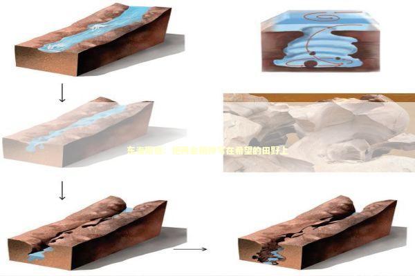 东海期货：把两会精神写在希望的田野上