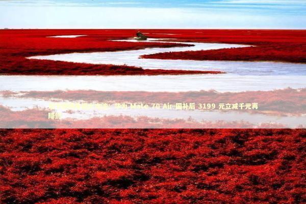 双卡双扬多摄大电池:华为 Mate 70 Air 国补后 3199 元立减千元再降价 双卡双扬多摄大电池:华为 Mate 70 Air 国补后 3199 元立减千元再降价 新闻