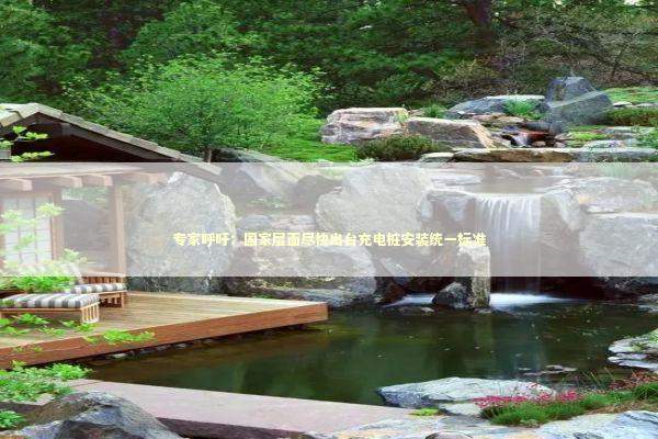 专家呼吁：国家层面尽快出台充电桩安装统一标准