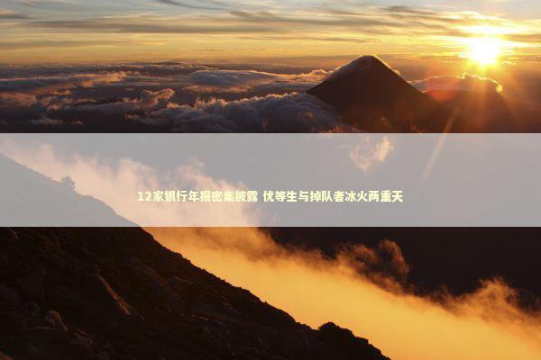 12家银行年报密集披露 优等生与掉队者冰火两重天