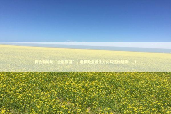两会前瞻论“金融强国”，看保险业进化方向与迭代趋势！_1