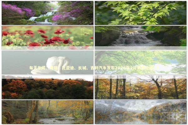 每天车闻：奇瑞、比亚迪、长城、吉利汽车发布2026年2月销量业绩_4