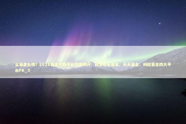 买基金去哪？2026基金代销平台深度测评：新浪仓石基金、天天基金、蚂蚁基金四大平台PK_3 新闻