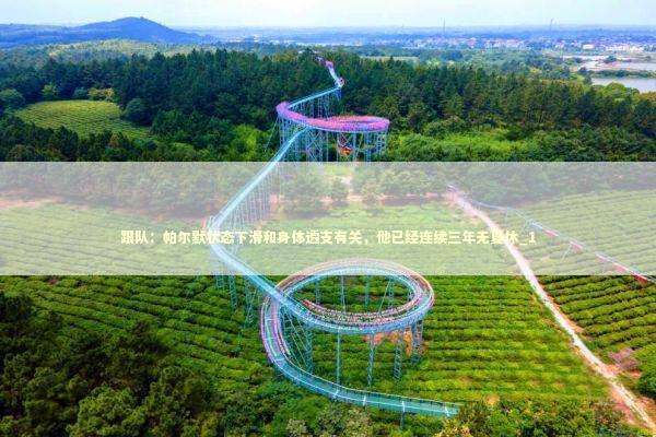 跟队：帕尔默状态下滑和身体透支有关，他已经连续三年无夏休_1