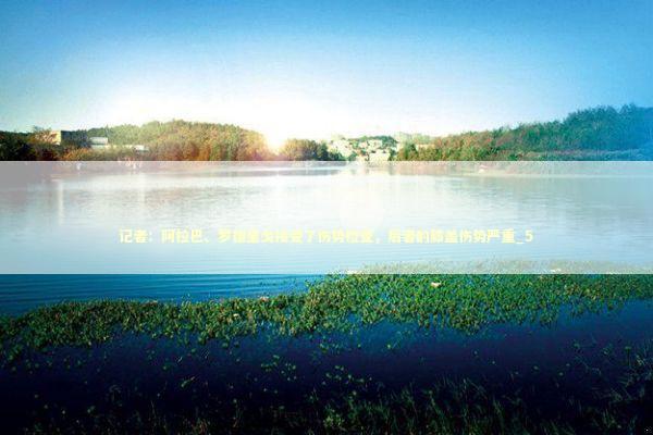 记者：阿拉巴、罗德里戈接受了伤势检查，后者的膝盖伤势严重_5