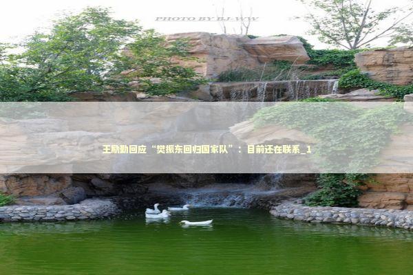 王励勤回应“樊振东回归国家队”：目前还在联系_1