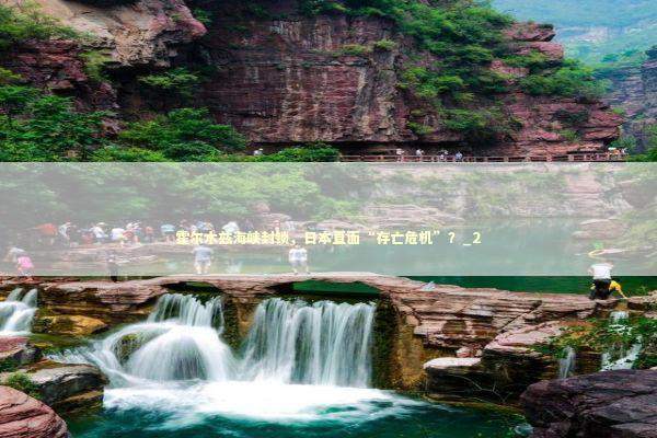 霍尔木兹海峡封锁，日本直面“存亡危机”？_2