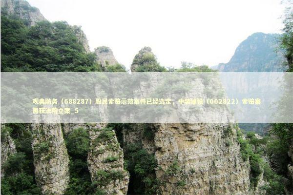 观典防务（688287）股民索赔示范案件已经选定，中装建设（002822）索赔案再获法院立案_5