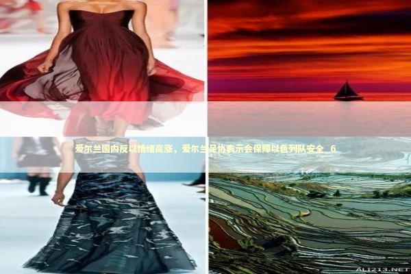 爱尔兰国内反以情绪高涨，爱尔兰足协表示会保障以色列队安全_6