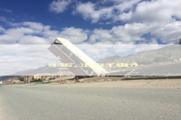 街镇“探新记”：工业强镇闯进“智”造赛道_1