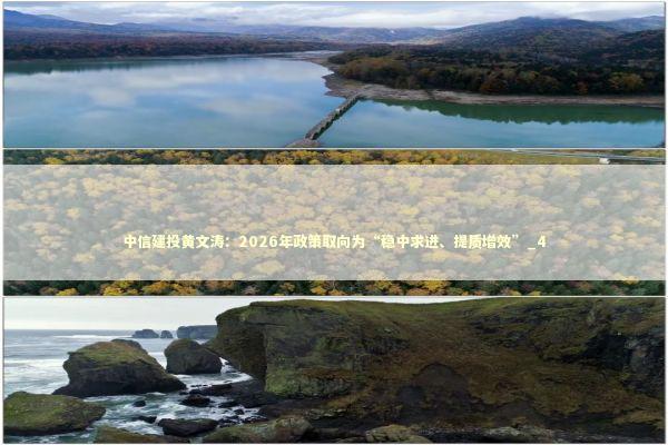 中信建投黄文涛：2026年政策取向为“稳中求进、提质增效”_4