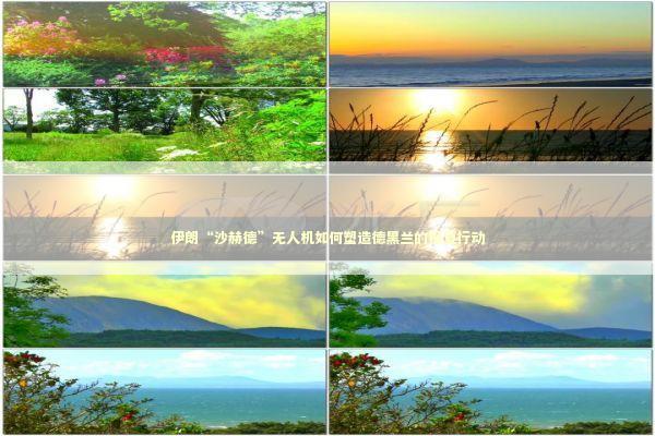 伊朗“沙赫德”无人机如何塑造德黑兰的报复行动