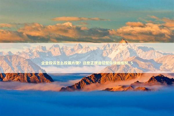 企业投诉怎么投最方便？这些正规途径帮你快速维权_5