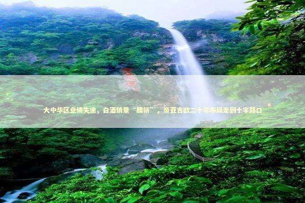 大中华区业绩失速,白酒销量“腰斩”,帝亚吉欧二十年布局走到十字路口 大中华区业绩失速,白酒销量“腰斩”,帝亚吉欧二十年布局走到十字路口 新闻