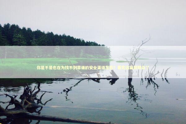 你是不是也在为找不到靠谱的安全渠道发愁？看完这篇就明白了 企业服务