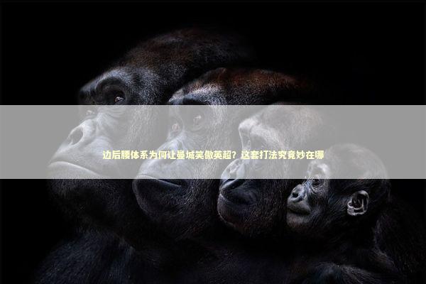 边后腰体系为何让曼城笑傲英超？这套打法究竟妙在哪 体育新闻