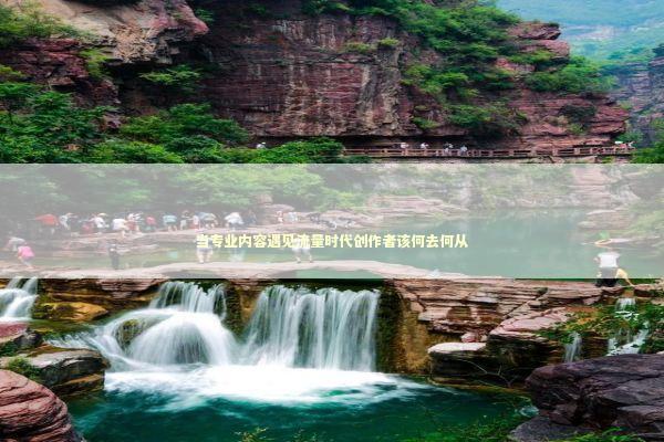 当专业内容遇见流量时代创作者该何去何从